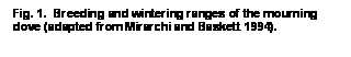 Text Box: Fig. 1.  Breeding and wintering ranges of the mourning dove (adapted from Mirarchi and Baskett 1994).

