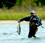 people fishing